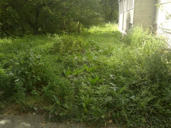 У Луцьку перевірили умови благоустрою. ФОТО