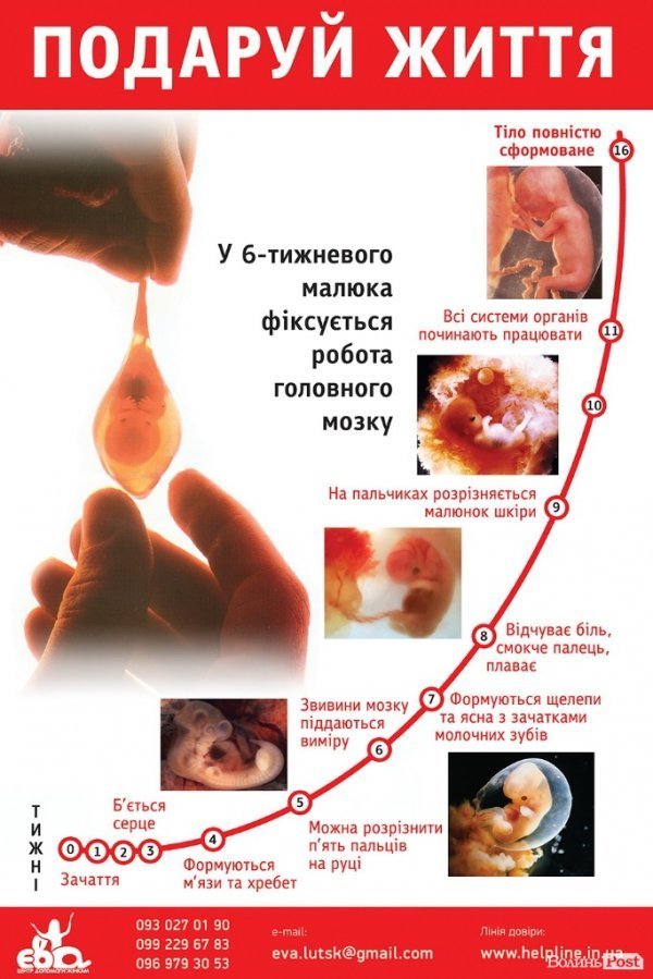 Яку соціальну рекламу у Луцьку вважають найкращою. ФОТО. ВІДЕО