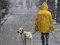 Дощ, сніг і трохи ожеледиці: синоптики розповіли, що чекає Україну на вихідні