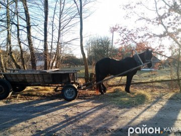 Волинська глибинка: лікуватися селяни ходять «через 3 мости»