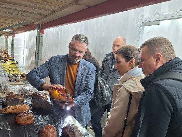 Волинь презентує бурштин майбутнього: державна комісія високо оцінила роботу КП «Волиньприродресурс»