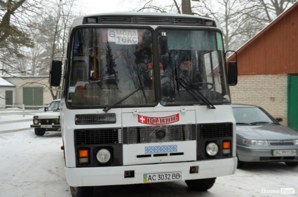 Як у «Цуманській пущі» рахували зубрів 