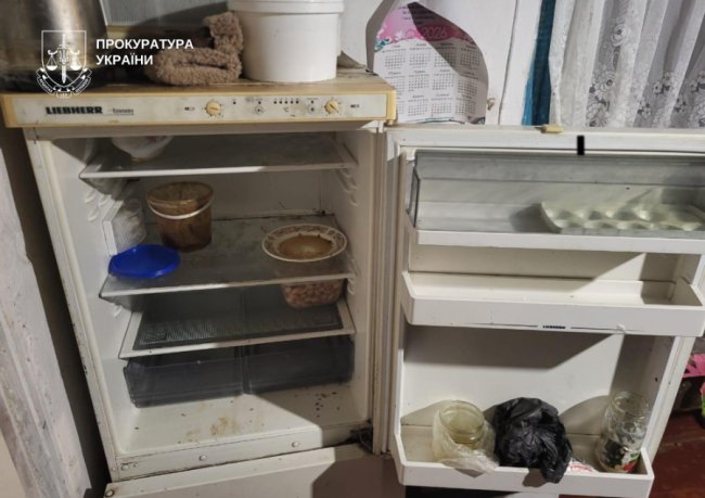 На Волині з двох сімей вилучили 8 дітей, семимісячна дівчинка з ознаками виснаження - у лікарні