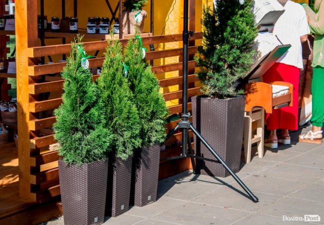 Смачно та корисно: волинські лісівники презентували свою продукцію на форумі. ФОТО