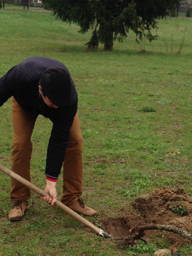 У Прилуцькому створили новий сквер, де висадили понад 600 саджанців