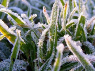 Погода на завтра, 9 травня, у Луцьку та Волинській області