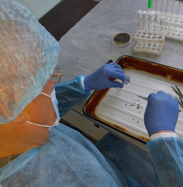 На Волині цьогоріч вже виявили три випадки хвороби Лайма