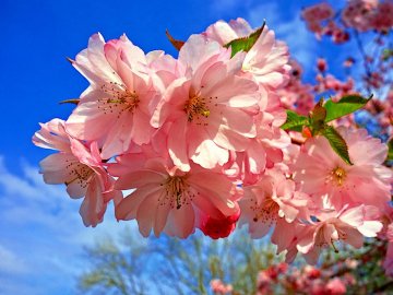 Погода в Луцьку та Волинській області на завтра, 13 квітня
