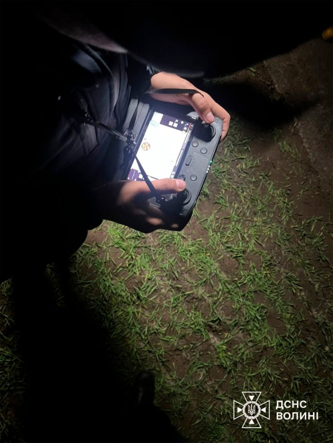 На Волині у лісі заблукала жінка