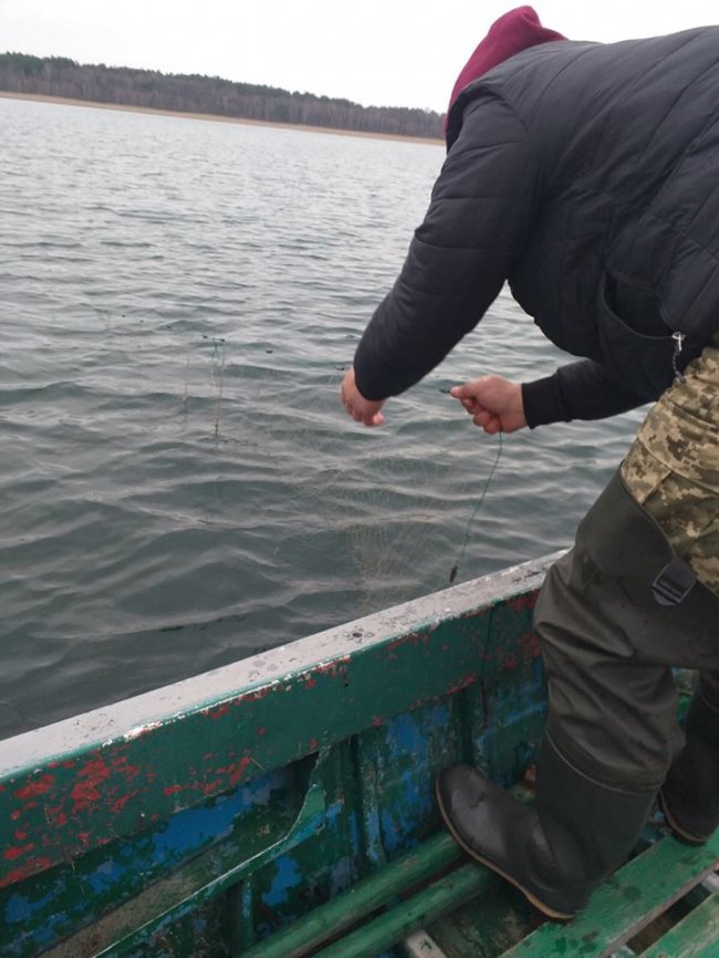 На озері Світязь браконьєри ловили рибу сітками. ФОТО