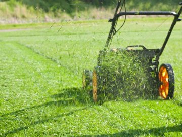 На косіння газонів і стрижку кущів у Луцьку передбачають витратити кілька мільйонів