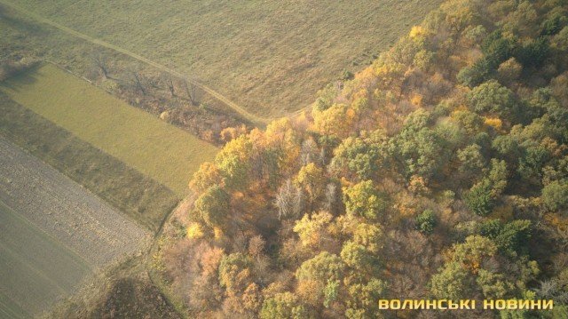 «Цуманська пуща» не гірша за Єллоустоун: захоплюючі кадри волинського нацпарку