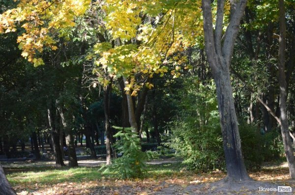 Лучани вдруге вийшли на толоку. ФОТО