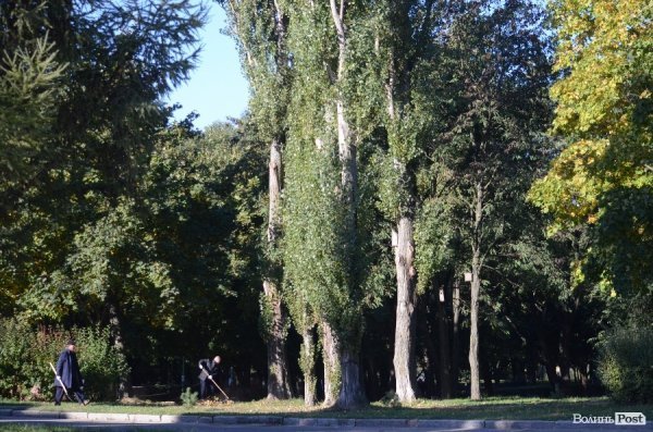 Лучани вдруге вийшли на толоку. ФОТО