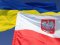 Польща оголосила про пошук свідків «геноциду ОУН-УПА» на Волині