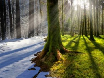 Через 20 років зими в Україні може не бути, – директор Укргідрометцентру