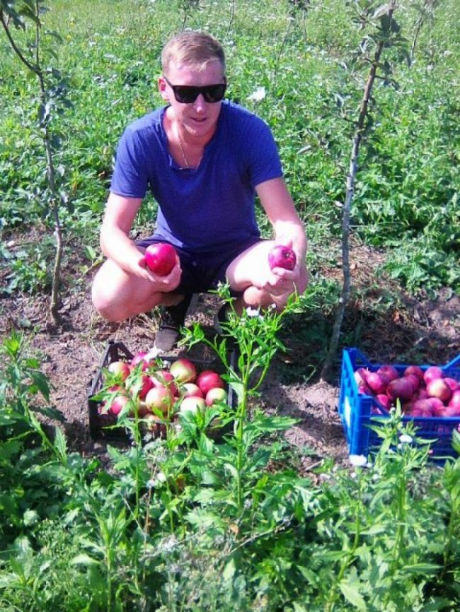 Волинський аграрій зробив бізнес на старому закинутому саду 