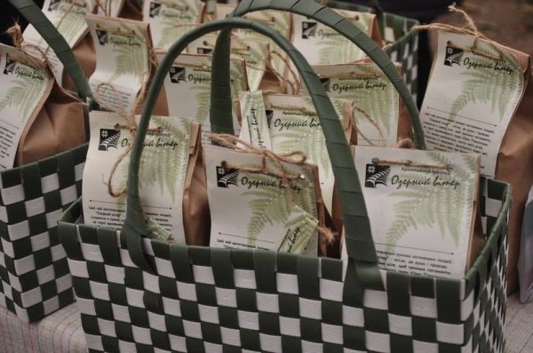 «Озерний вітер» зібрав лучан на благодійний пікнік. ФОТО