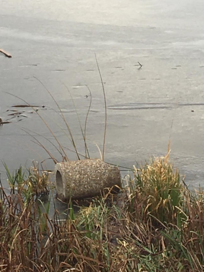 У Ковелі вандали понищили смітники