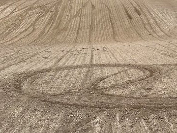 Гонки на полі: на Волині підлітки на мотоциклах понівечили три гектари посівів буряків. ФОТО