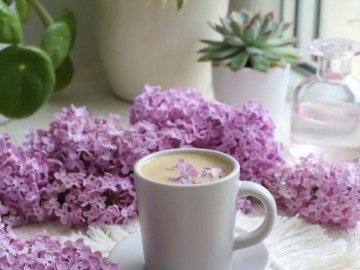 Добрі новини від ВолиньPost за 16 травня 