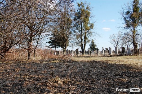 Яблуневий сад під Луцьком «вижив» після масштабної пожежі