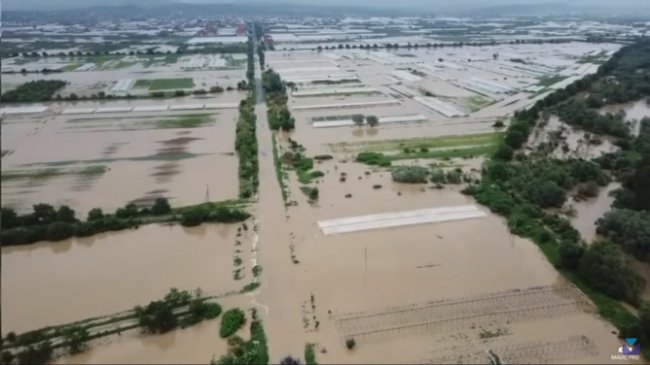 Затоплені поля та навіть мости: вражаючі кадри масштабної повені на Закарпатті. ВІДЕО