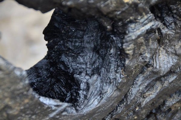 Унікальні світлини: як піднімали з води старовинний човен. ФОТО. ВІДЕО