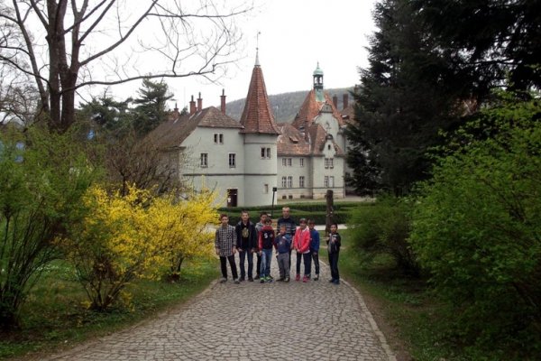 Волинські каратисти взяли участь у Кубку Закарпаття. ФОТО