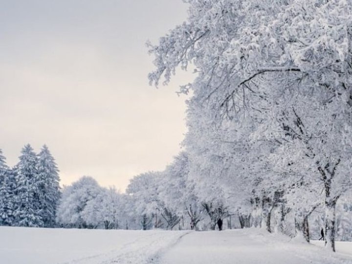 Якою буде погода у суботу, 17 січня, у Луцьку та на Волині