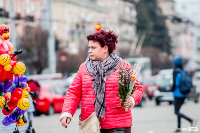 За день до свята: Луцьк накрила тюльпанова лихоманка. ФОТО
