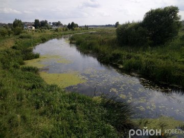 Річка Турія перетворюється на болото