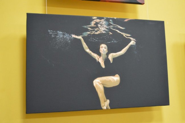 У місті на Волині – виставка неймовірних підводних фото