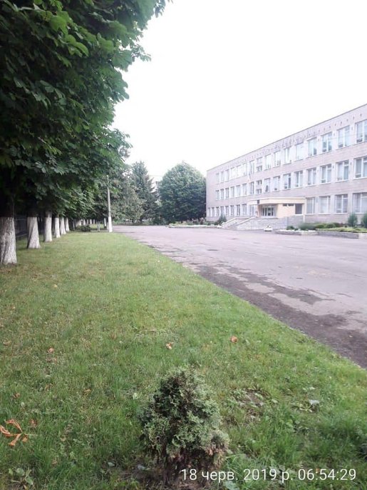 Луцькі муніципали змусили нечупар скосити траву