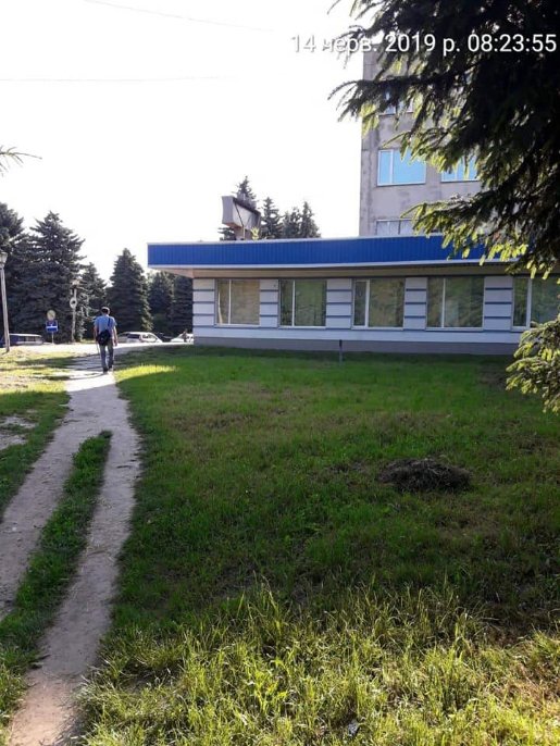 Луцькі муніципали змусили нечупар скосити траву