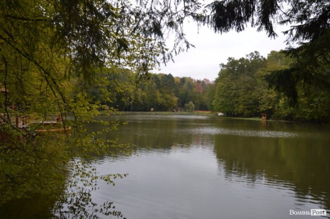 Краса воротнівського лісу: у «Малій Швейцарії» відкрили центр для юних лісівників 