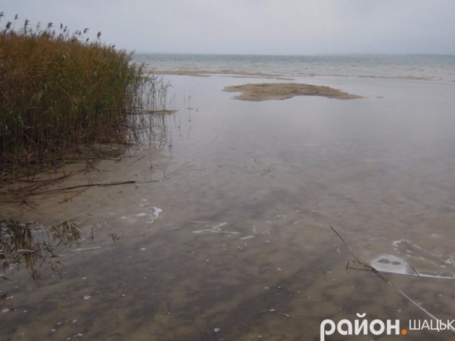 Самотній і чудернацький: оприлюднили фото осіннього Світязю