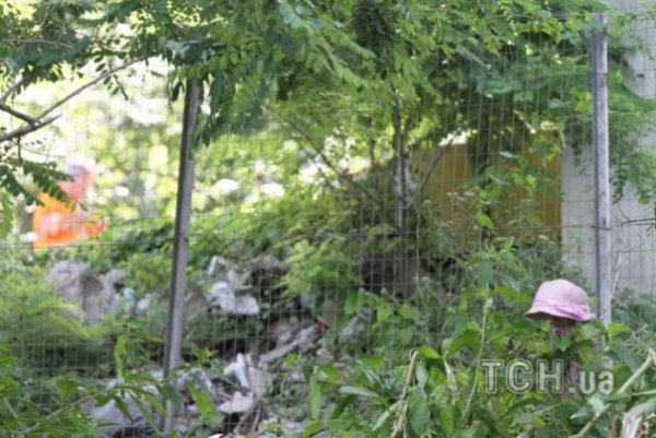 Смертельна аварія автобуса в Італії. ФОТО. ВІДЕО