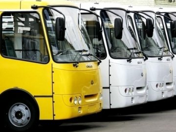 GPS та місце для інвалідних візків: луцьким перевізникам встановили нові вимоги 