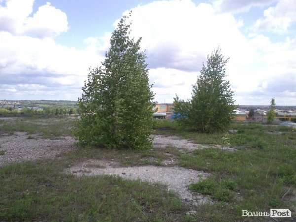 Повітряний ліс на луцькому будинку. ФОТО