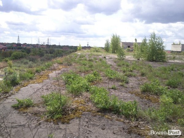 Повітряний ліс на луцькому будинку. ФОТО