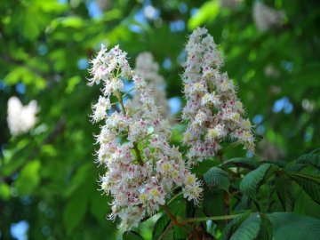 16 травня на Волині: гортаючи календар