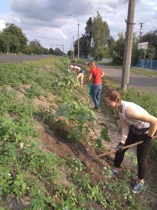 Зробимо Україну квітучою: у селі під Луцьком для соняшників розчистили узбіччя