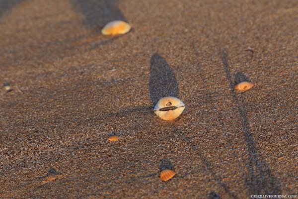 Пляжі Керченського півострова: місця вистачить усім. ФОТО 