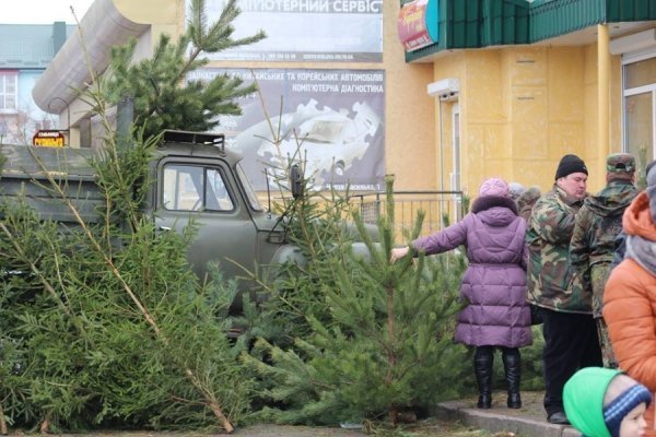 Мед, ялинки, кролі: як ярмаркували у Володимирі