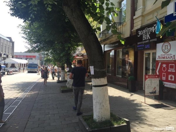 У центрі Луцька з'явились «дерева в траурі». ФОТО