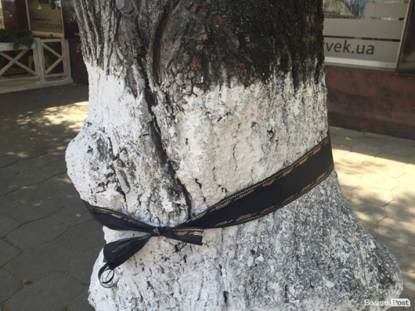 У центрі Луцька з'явились «дерева в траурі». ФОТО