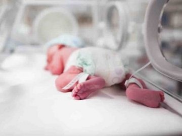 У Луцьку збиратимуть донорську кров для «поспішайок»