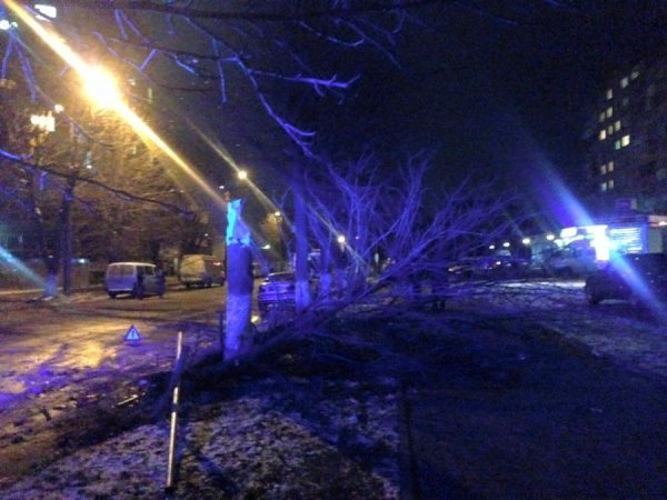 ДТП у Луцьку: авто знесло дерево і паркан. ФОТО