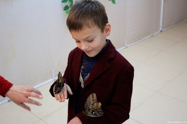 Лучанин каже, що його надурили в ЦУМі. ФОТО